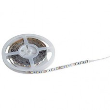 STRIP LED 5050 300LED 72W AC/DC12V 3600LM 3200K 500X1CM - Intec - STRIPLED-5050-C