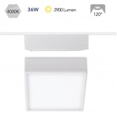 PLAFONIERA LED KLIO BIANCA 36W 2900LM 4000K 21,1X21,1X5CM - Intec - LED-KLIO-Q21