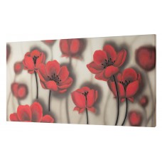 Pintdecor Noi Creiamo - Quadro LIEVE - P4412