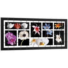 Pintdecor Noi Creiamo - Quadro bouquet - P4720