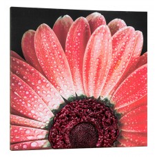 Pintdecor Noi Creiamo - Quadro RED DAISY - P4750